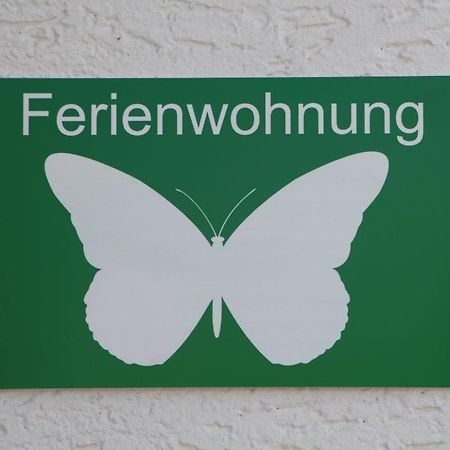 Ferienwohnung Schmetterling Trendelburg Екстериор снимка